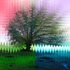 Dieter Bruhns, Tree