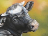Kerstin-Birk-Animals-Land-Miscellaneous-Animals-Modern-Times-Realism