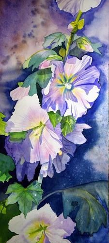 Stephanie Zobrist, weisse Stockrosen, Plants: Flowers, Times: Summer, Naturalism