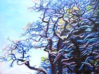 Renee-Koenig-Landscapes-Winter-Plants-Trees-Modern-Age-Expressive-Realism