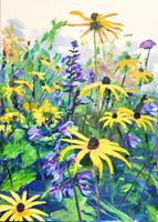R. König, Garten im September